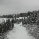 Elizabeth Low - @eyhlow - Twitter