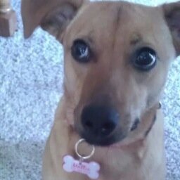 LEISA_DALTON's profile picture. I didnt choose this Life; This Life chose me!