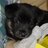 UnleadedType retweeted this