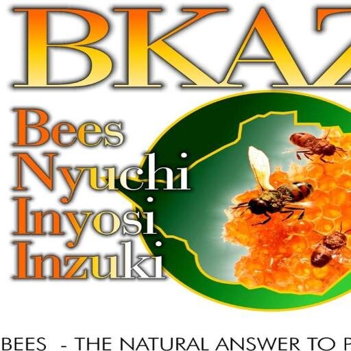 BKAZ coordinates the apiculture sub-sector in Zimbabwe and represents the interest of all the honey value chain actors.