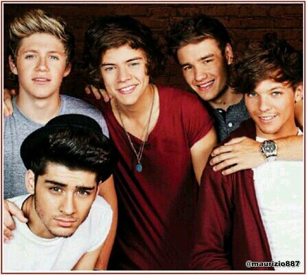 louis tomlinson,liam payne,zayn malik,harry styles and niall horan are all members of one direction please follow if your a directioner