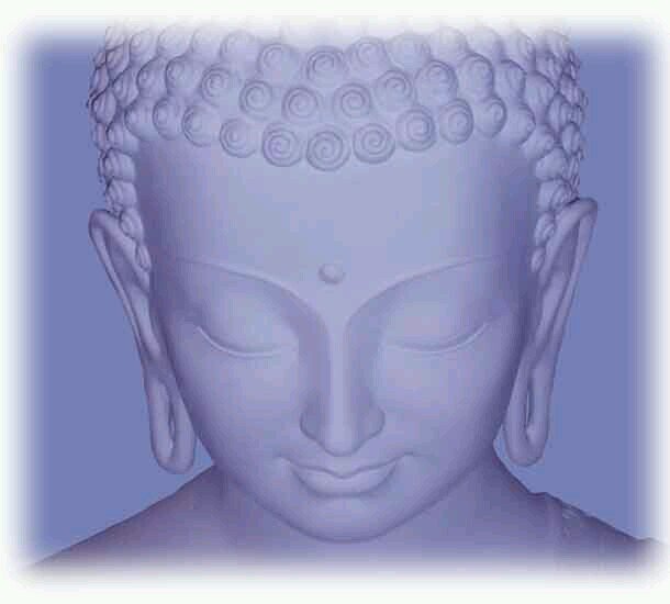 FJARENI's profile picture. 