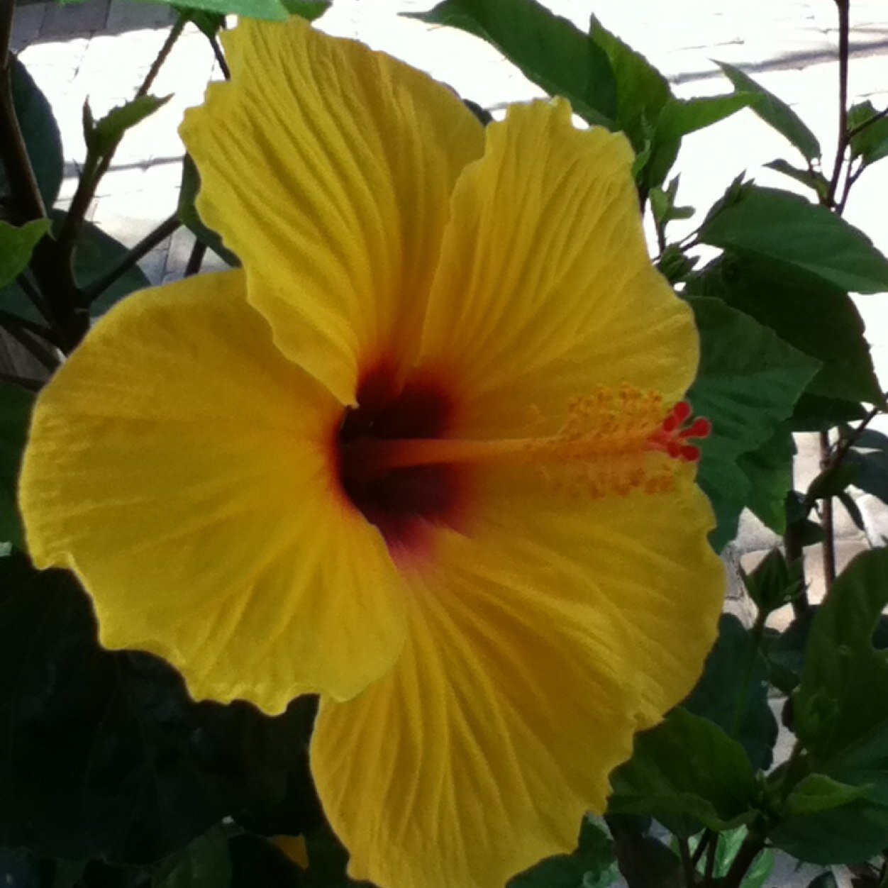 DaveetsC's profile picture. 