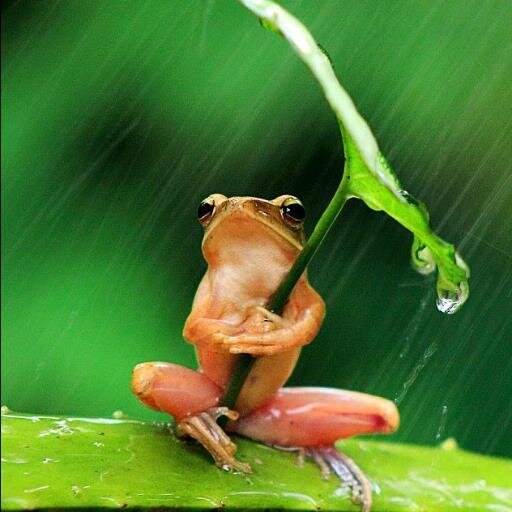 fallingup1211's profile picture. 