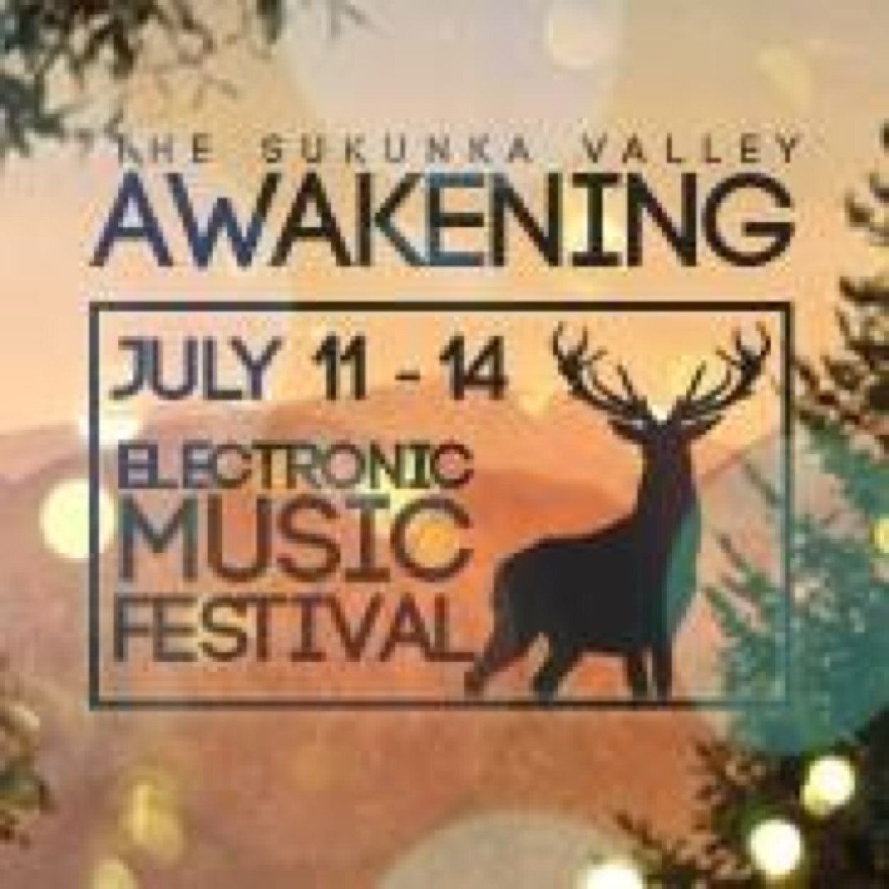 Awakening Music Festival, BC Canada. Electronic Music in the serene Sukunka Valley