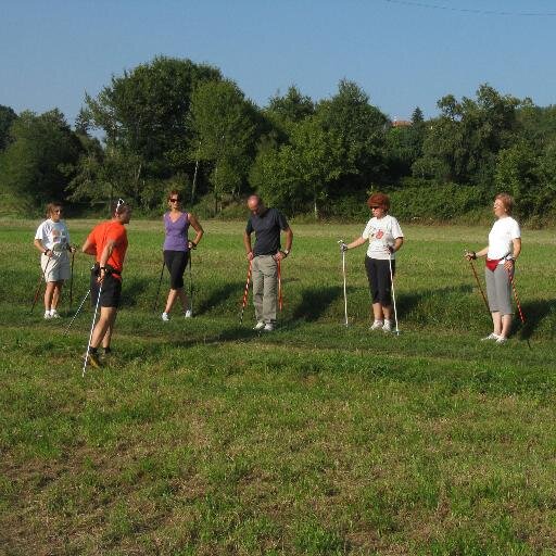 Maestro Nordic Walking NWA