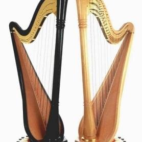 Gumusmus25's profile picture. 