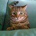 D. RAYNAUD (@dr1351) Twitter profile photo