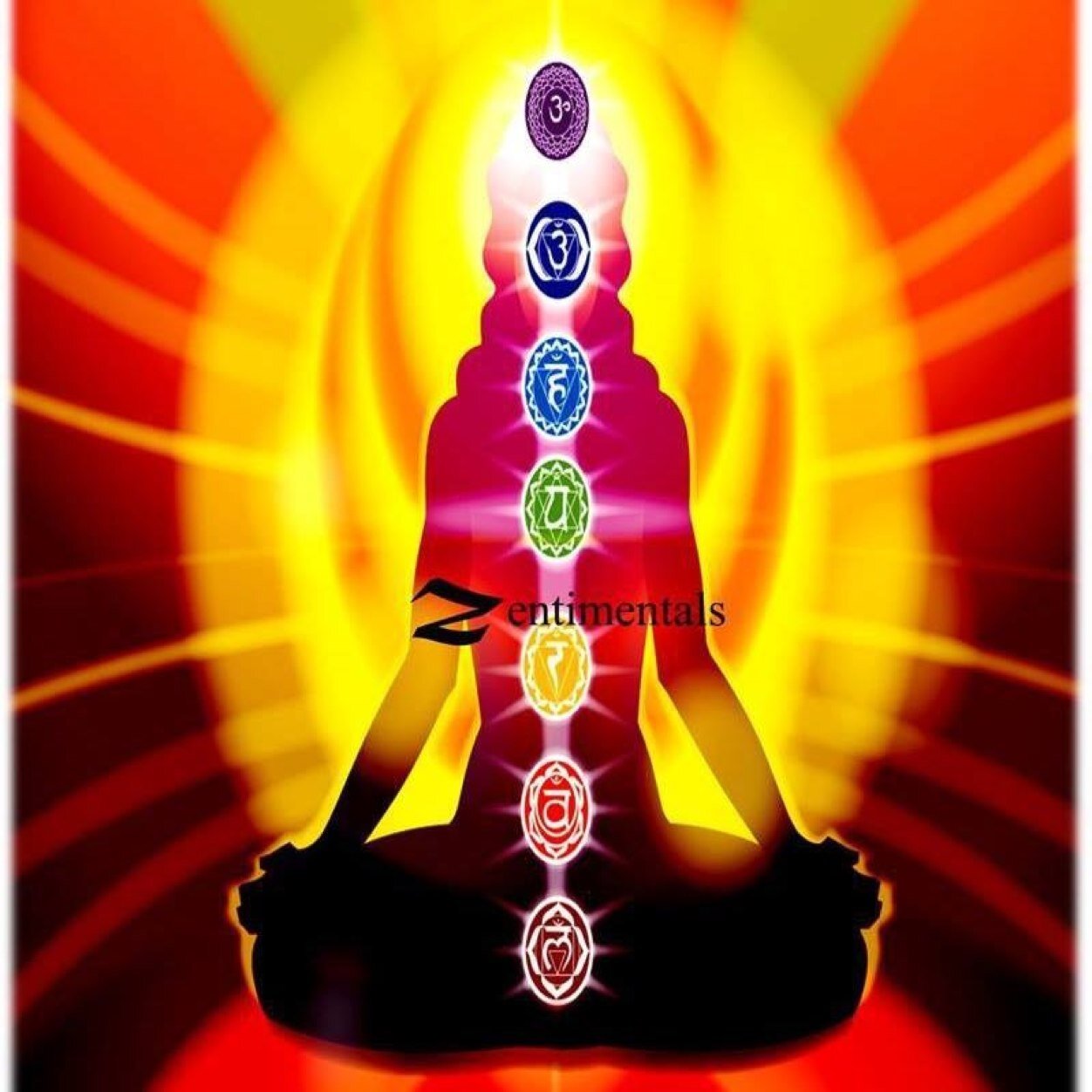 AnitaRocks213's profile picture. Zen to life... Stay humble, i am molded to be eveything in life. #basketballmom #bandmom #art #music #life #happiness