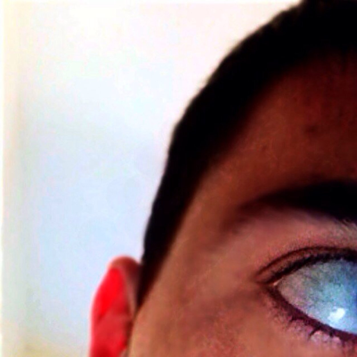 OfficialDG00 Profile Picture