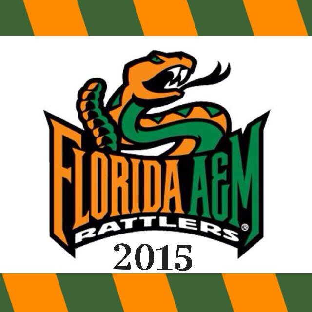 This is the official twitter account for the 2013-2014 Junior Class Cabinet under the Bradford & Bishop Administration. Let's have an excellent year! #FAMU15
