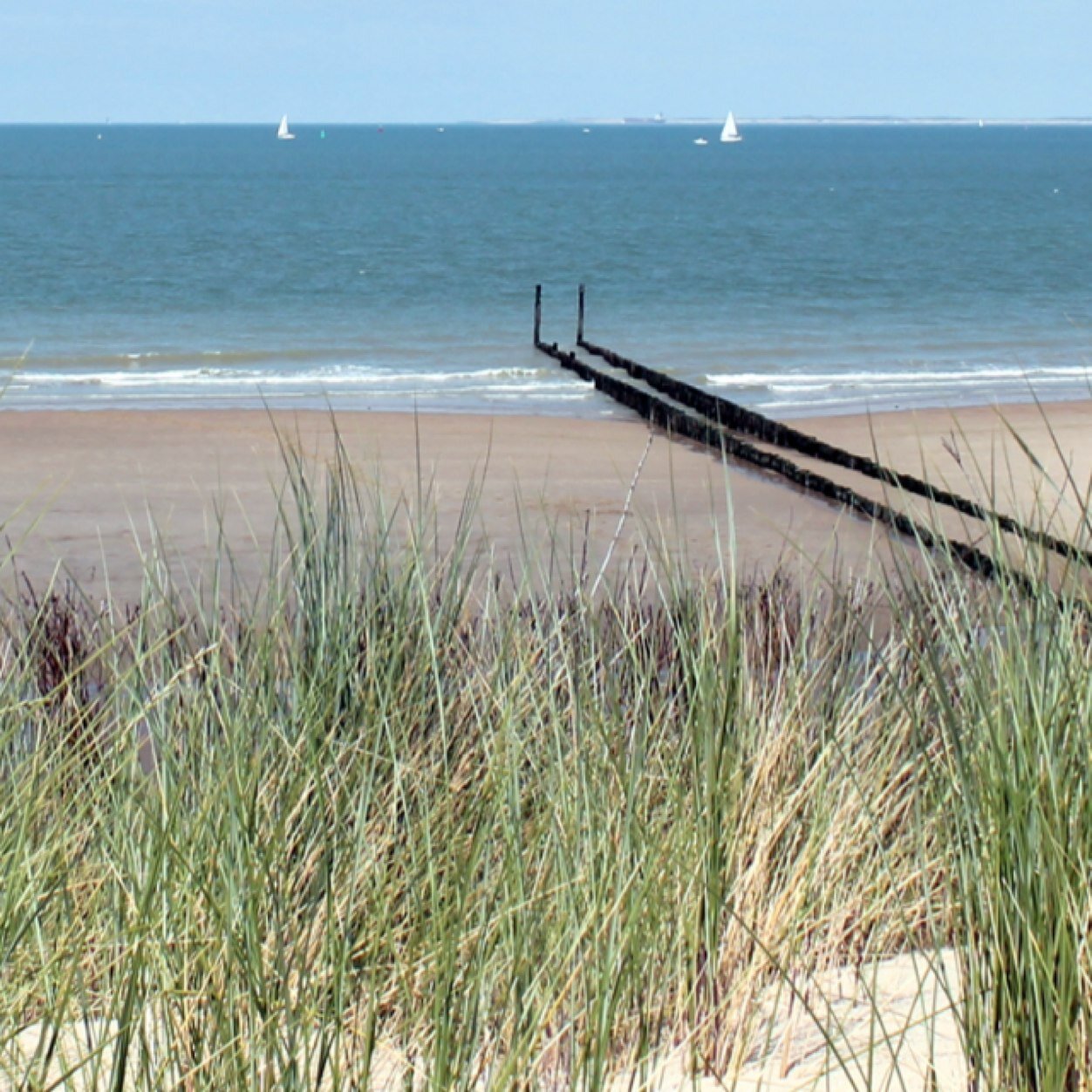Kleine, rustieke familiecamping op 300 meter van het strand. Kom en geniet van het Zeeuws-Vlaamse land!