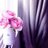Saronh88's profile image