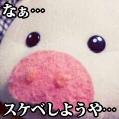 成人済み腐30↑ 金カムだいすき🌙🎏、sgo