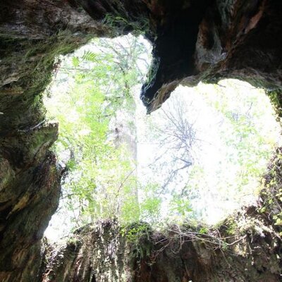 知らないと損 国内 海外旅行情報 海外旅行に危険な国ランキング13 1 ホンジュラス 2 メキシコ 3 ブラジル 4 イエメン 5 メキシコ 6 コロンビア 7 コンゴ民主共和国 8 イラク 9 ベネズエラ 10 パキスタン