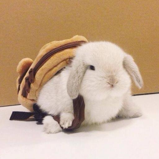 digitalindeed's profile picture. ก็แค่ผู้ชายขายน้ำ ที่รู้เรื่อง IT นิดหน่อย