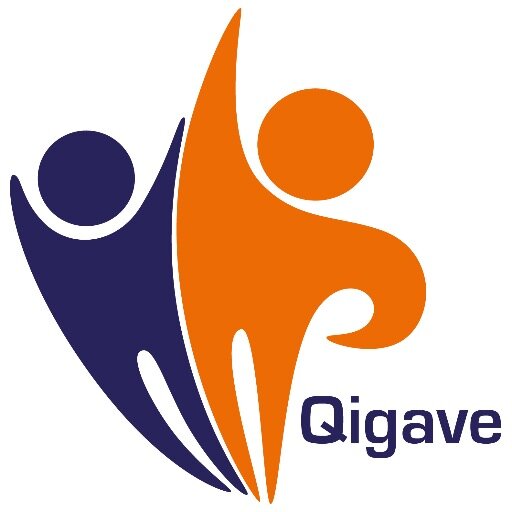 Qigave maakt leiders, ondernemers, teams en professionals effectiever en creatiever in een wereld vol ontwikkeling en verandering.