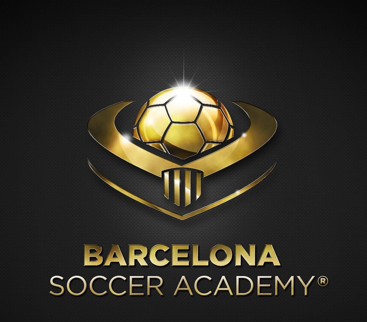 BARCELONASOCCAC's profile picture. A UNIQUE WAY TO INTERPRET FOOTBALL & LIFE