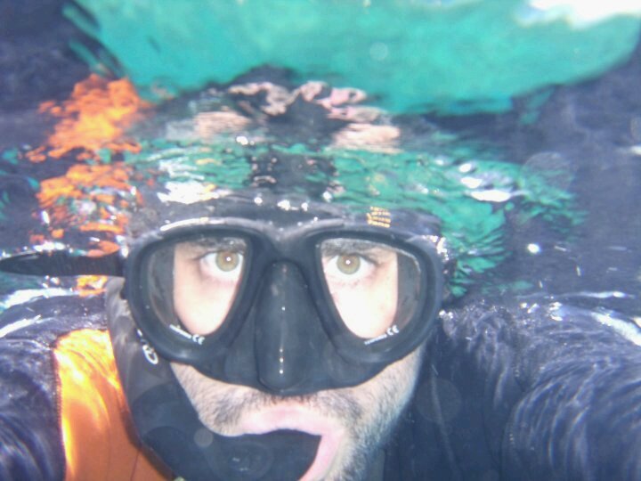 vfeito's profile picture. 