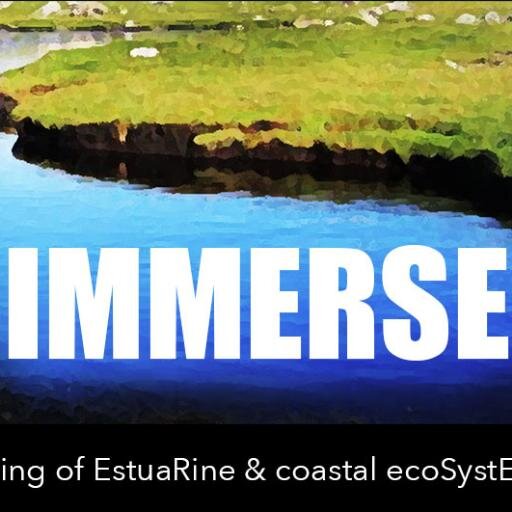 Investigating Integrated Environmental Management and Monitoring Systems for Estuarine and Coastal Ecosystems