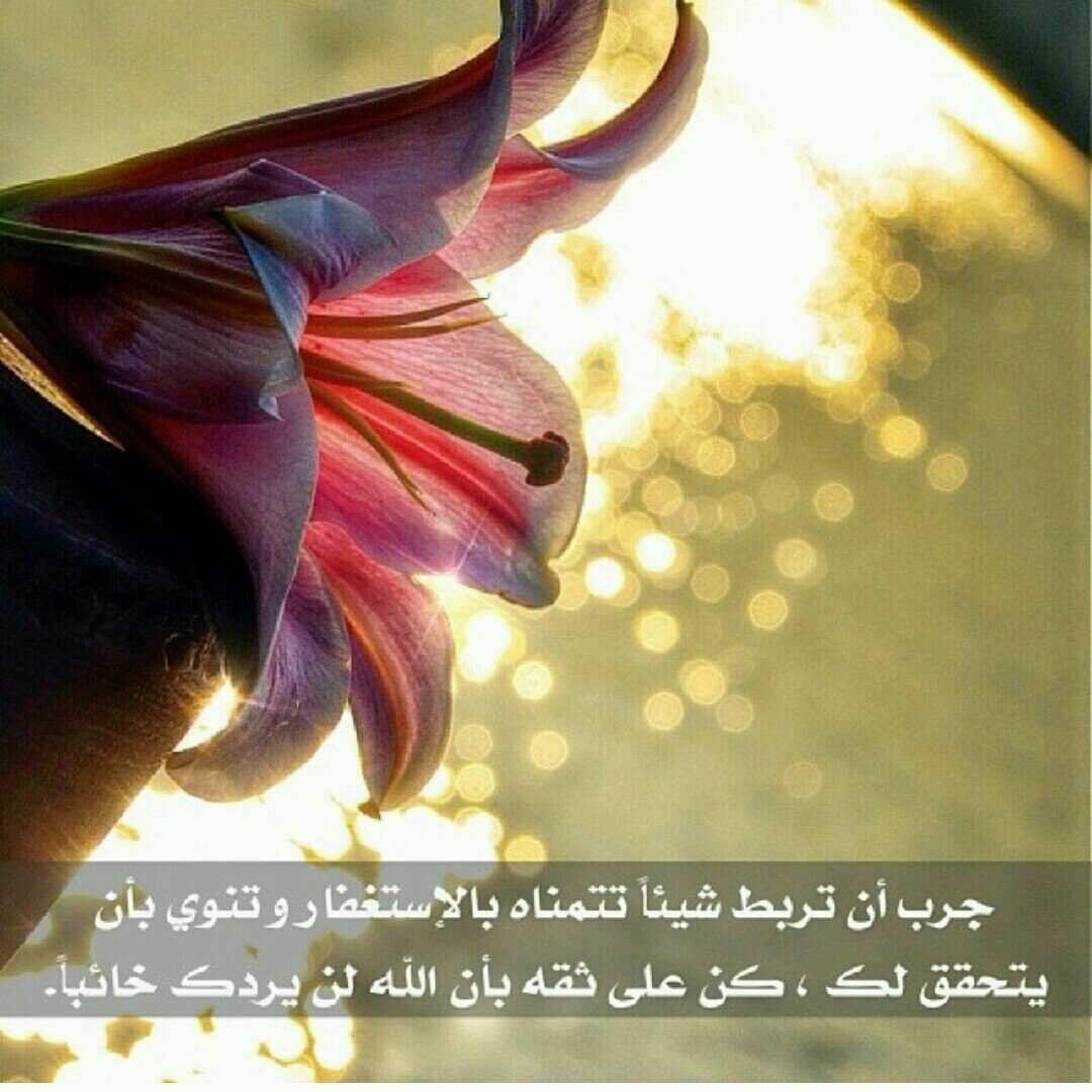 وما من كاتبٍ إلا سيفنى ،، ويبقي الدهر ما كتبت يداه. فلا تكتب بكفك غير شيء ،، يسرك في القيامة أن تراه!