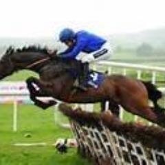 Horseracing fanatic. Follow the highs and lows of my gambleing exploits.