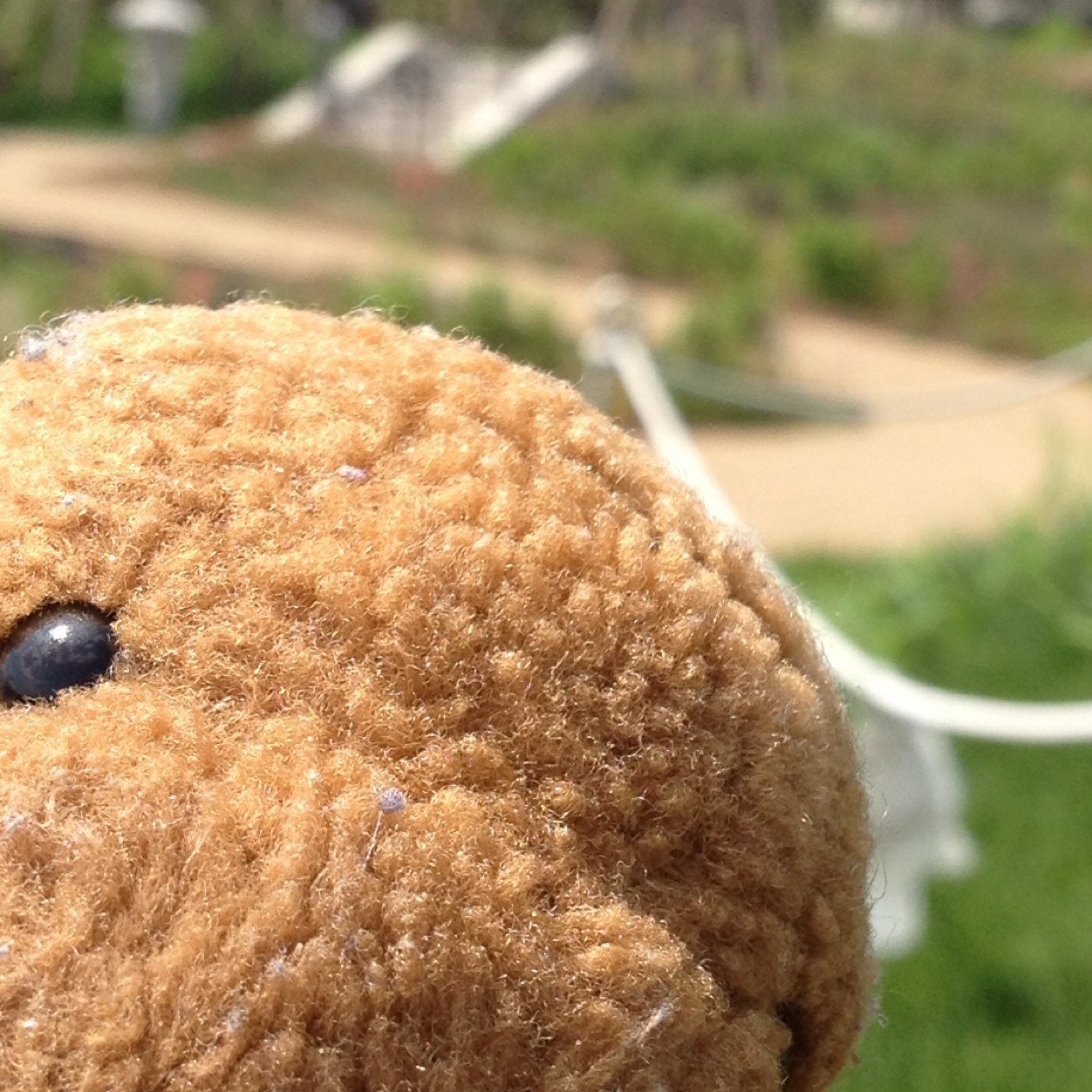 hamappmohan's profile picture. ほんわかした日々を送りたい。好き→くるり、アジカン、テナー、aiko、YUKI、ドロス、日本のロック、カワウソ、でんしゃ。