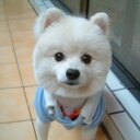 yu cai jun - @yucaijun - Twitter