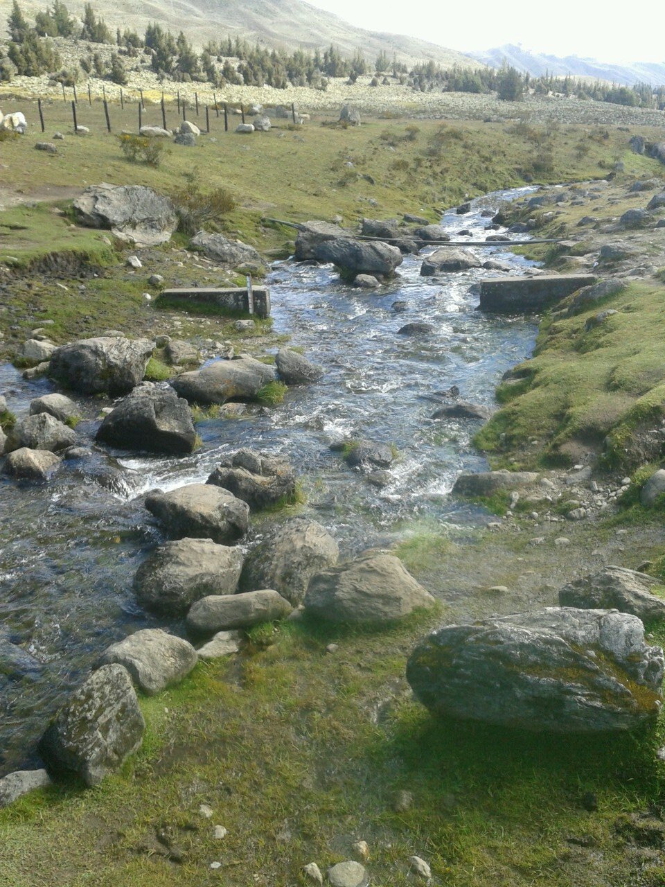 Soñar y construir el sueño. Prepararse para ver el paisaje soñado. Esa es mi premisa