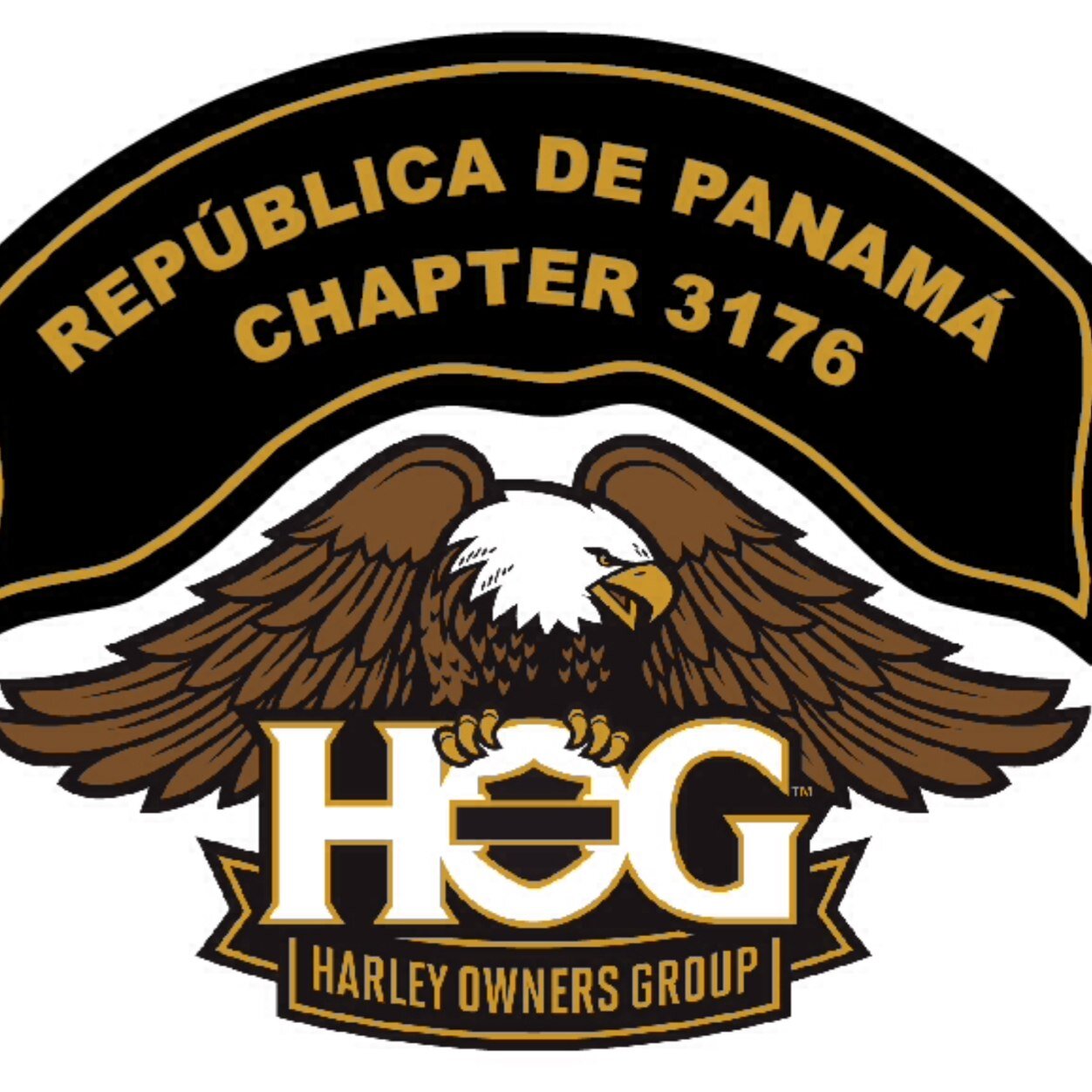 HOGPANAMA3176's profile picture. Fundada en 1983 y con mas de 1,300,000 de miembros, nos une la pasion por las motos Harley Davidson y el placer que nos inspira rodarlas