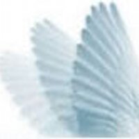 kdtd (@kdtd_org) 's Twitter Profile