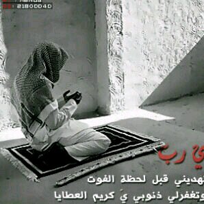 756A74CD                          المدينه المنوره