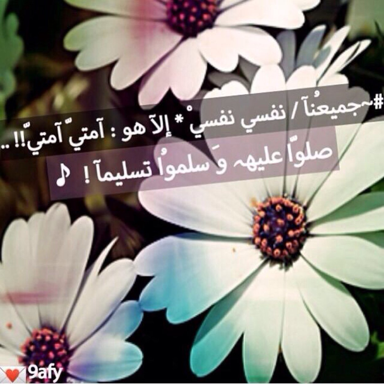 مثلي يعيش ( بـ رفعتہّ ، و بـ معاليہّ ) 
ۆ إن طاح / طاح من الثرى لـ السحابہّ 
من لا يراعي عشرتيّ .. مـآ أراعيہّ 
ۆ من لآ' يقدر ھٓيبتي ... / مآ أھابہّ