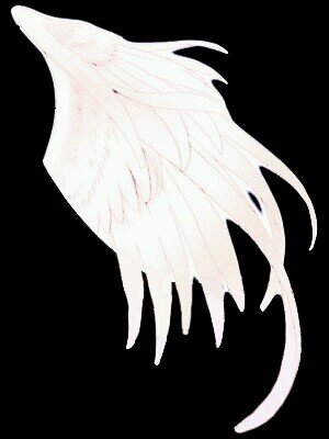 wj7123's profile picture. 