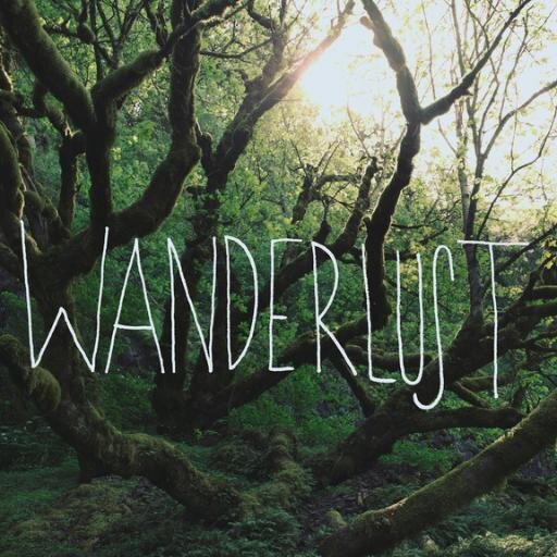 Wanderlust is a very strong and irresistible impulse or desire to travel the world.
