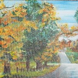 briceldebg's profile picture. 