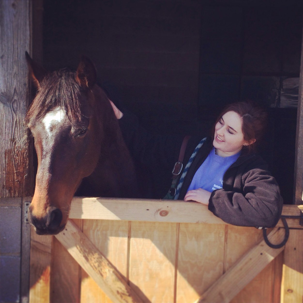 horseworlddrama's profile picture. what happens in the everyday world of crazy horse people, right and wrong.