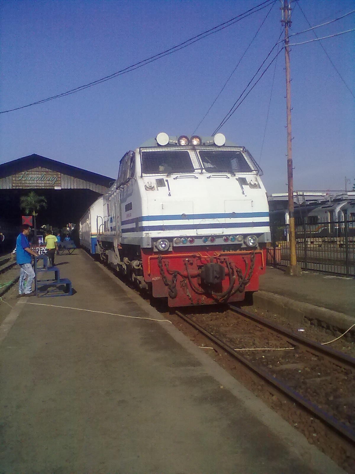 denisserayu's profile picture. 