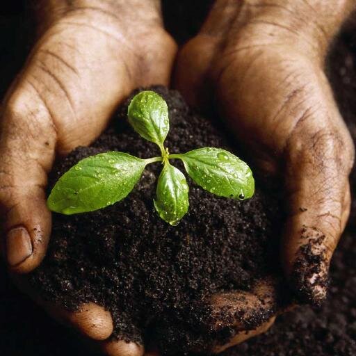 FrenteProAgro's profile picture. Compartimos noticias sobre el sector agropecuario y apoyamos al productor nacional #Panamá