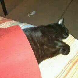 jmahoney1938's profile picture. 