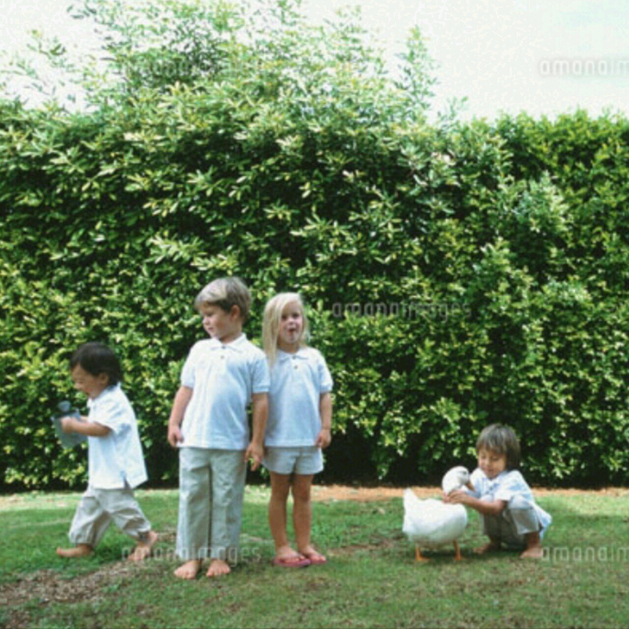 ilikepso2's profile picture. pso2 ship6 俺屍超楽しみｳｷｳｷ