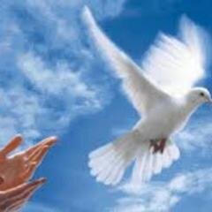 thelostsmail's profile picture. 