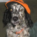 Ann Chambliss - @Annchambliss1 - Twitter