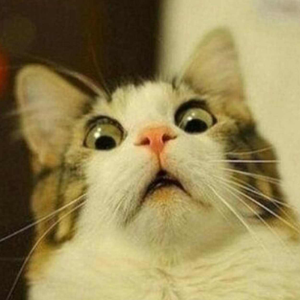 khovanec1983's profile picture. 