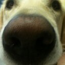 Tyra Morgan - @tyra_tmorgan - Twitter