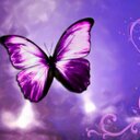 Connie McNally - @Conmcn - Twitter