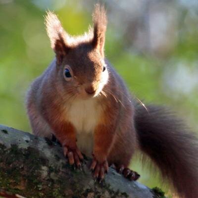 Find time for nature in The West Highlands. Ideal self catering accommodation for nature lovers, walkers and outdoor enthusiasts.