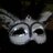 mummaof3brats's profile image