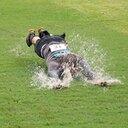 Winston Walker - @williswalker3 - Twitter