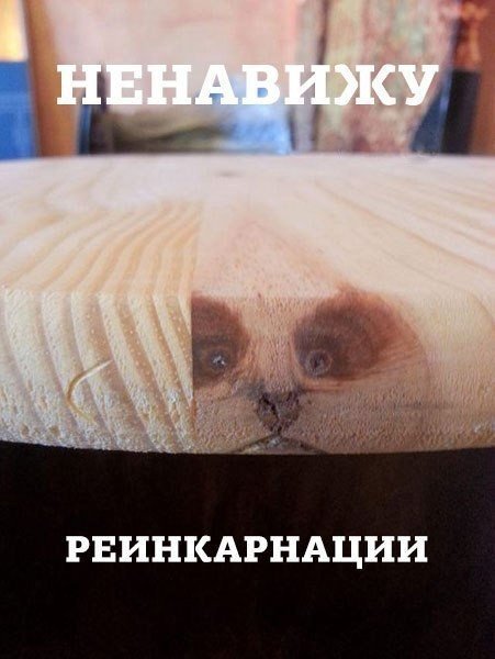 Бухаю как все, пытаюсь бросить курить, не хочу работать, всем #ЧитаюВзаимно и #FollowToday